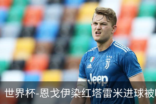 世界杯-恩戈伊染红塔雷米进球被吹 10人比利时0-0伊朗